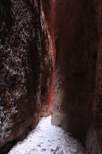 Bungle Nationalpark-036